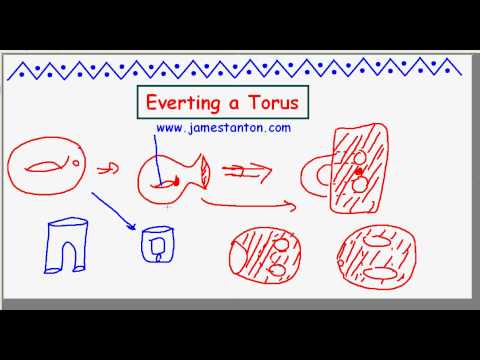 Everting a Torus (TANTON Mathematics)