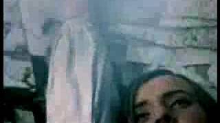 "Тени забытых предков", отрывок