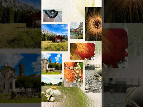 Recap 2025 #recap #viral #trending #memories #glimpse