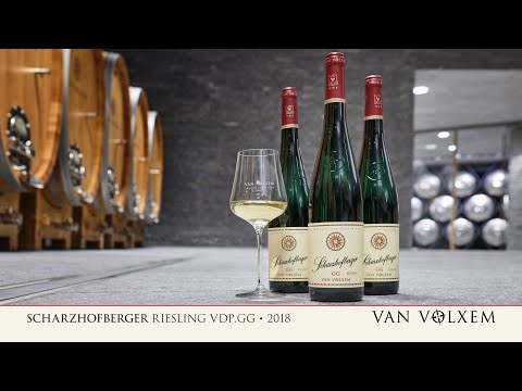 Van Volxem Scharzhofberger Riesling VDP.GG 2018 - Probe