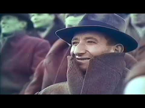 Vasas vs. Young Boys - 2:1 / 1957