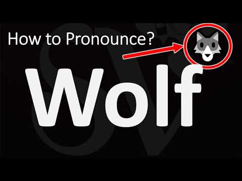 How to Pronounce Wolf?
