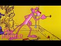 Pink Panther Fights Off Pests | 54 Minute Compilation | The Pink Panther Show