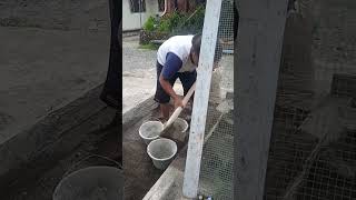 Download lagu Komando pasukan pertukangan mp3