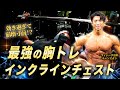 【効き過ぎて痛過ぎて怖過ぎる!】大胸筋上部のトレーニングinGANZAN