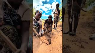 Download lagu What the Hadza found by digging the soil#usa #africa #indonesia #comedy #funny #funny mp3