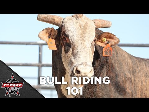 Bull Riding 101 with Ty Murray