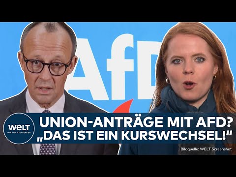 MIGRATION: Anträge mit AfD? Kritik an Merz! Fällt nach Aschaffenburg nun die Brandmauer?