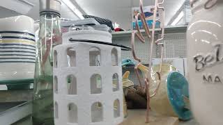 DOLLAR GENERAL CHRISTMAS ORNAMENTS and MORE/SATURDAYS SHOP WITH ME COLLAB