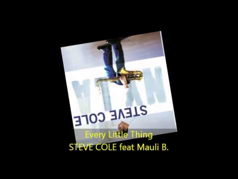 Steve Cole - EVERY LITTLE THING feat Mauli B.