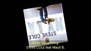 Steve Cole - EVERY LITTLE THING feat Mauli B.