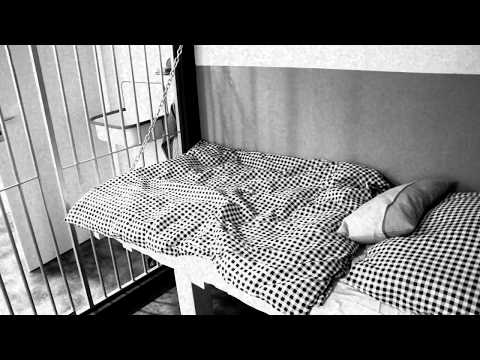 "Die Zelle" l exit Sachsen - escape games l Dein Escape Room in Chemnitz.