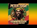 Downpressor Your Time Soon Done Original Roots Reggae Anthem Tribute To Peter Tosh LionsPulse