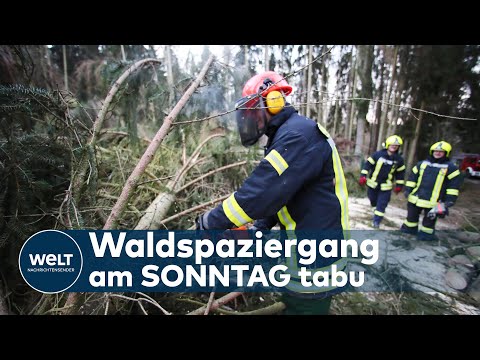 HEFTIGES ORKANTIEF KOMMT: Schwerer Sturm ab Sonntag - bis zu Windstärke 12 droht