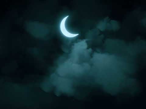 Maxim Preguza - Dacă Visele | Official Visualizer