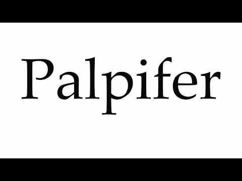 How to Pronounce Palpifer