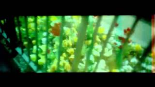 panda bear take pills