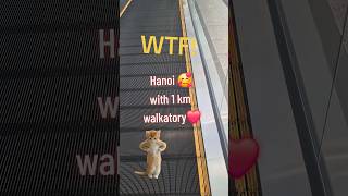 WTF Hanoi airport with 1 km walkatory #WTF #wtf #hanoi #papa…