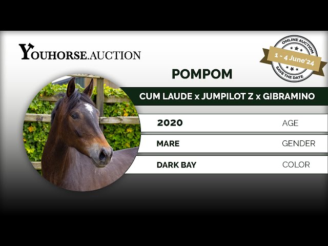 Youhorse.auction | Pompom
