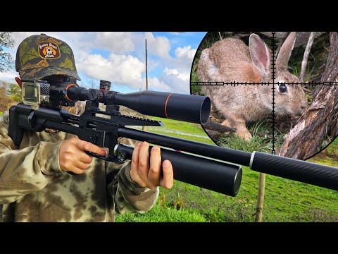 Hunting with M60 B PCP! Rabbit, Thrush, and Doves