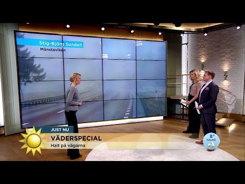 Dimma på hösten - tänk på halkrisken! - Nyhetsmorgon (TV4)