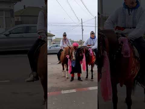 Plugu mic la ceamurlia de jos