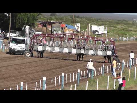 DON LALO - Catriel 02/03/14