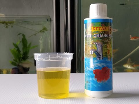 BETTAS ANTI CHLORINE - Does it work?