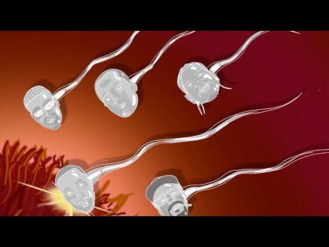 CARGA NOVA ENT. - "Espermatozoide" (ft. Bebelsito & Jotão) [Official Audio]