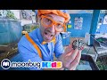 Blippi Learns About Sea Creatures Meet The Ocean Friends Educational Kids Videos With Blippi