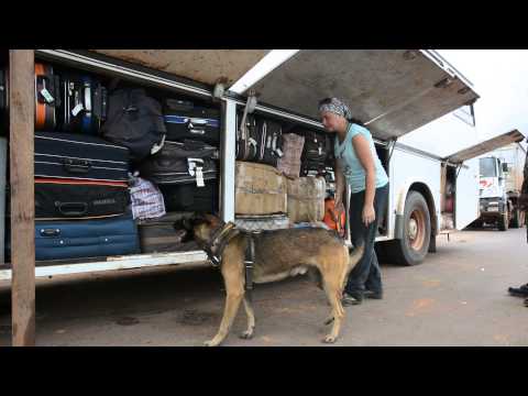 Psí superhrdinka - CAMA