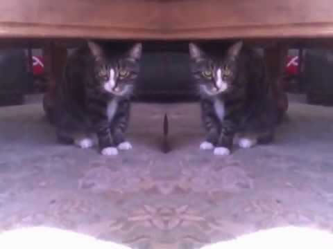 Video thumbnail for Child Soldier