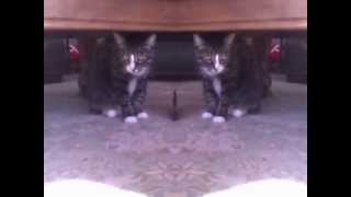 Oneohtrix Point Never - Child Soldier