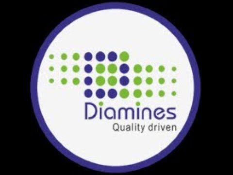 45th Annual General Meeting of Diamines and Chemicals Limited held on July 2O, 2O21