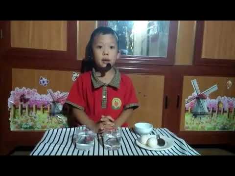 Học sinh trường mầm non tham gia hoạt động học trực tuyến