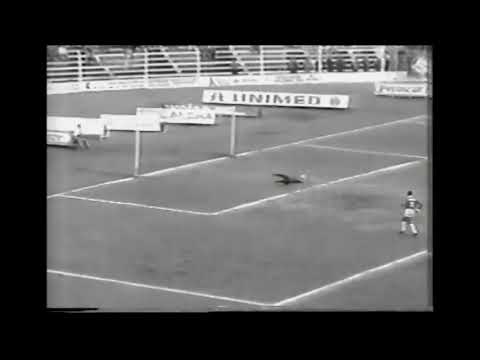 Novo Hamburgo 1 x 0 Internacional - Campeonato Gaúcho 1992