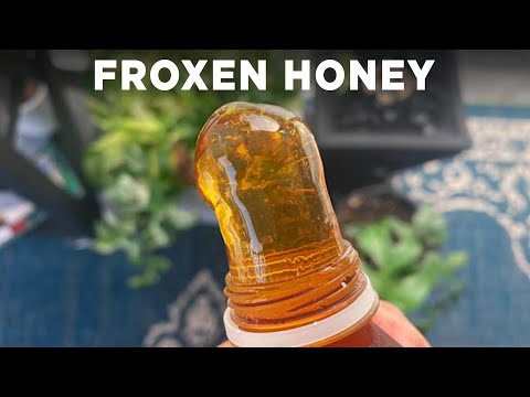 , title : 'Frozen Honey Trend'