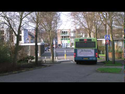 buslijn 163 door Rijsenhout