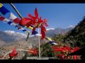 BISHNU POUDEL BISHNU SARITA Sagar Sari Chokho Maya
