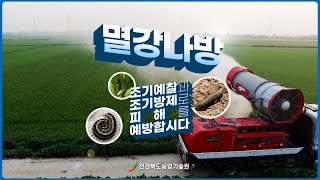 [ 병해충 카드뉴스 ] 멸강나방, 조기예찰 조기방제로 피해 예방