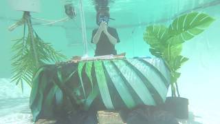 Download lagu WORLD’S FIRST UNDERWATER DJ SET (Chet Porter: Digital Mirage 2) mp3 Download lagu WORLD’S FIRST UNDERWATER DJ SET (Chet Porter: Digital Mirage 2) mp3