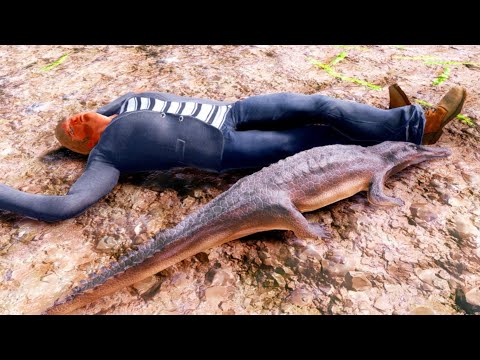 ✅ Machimosaurus rex - OLD VERSION  Animal Revolt Battle Simulator FULL HD