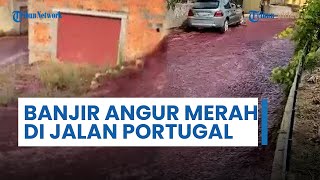Tangki Meledak Sekitar 2,2 Juta Liter Anggur Merah Banjiri Jalan Kecil di Portugal Hingga Pemukiman