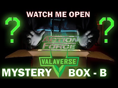 VALAVERSE Action Force Mystery Box B Un-Boxing. Plus, my thoughts on the future of the franchise....