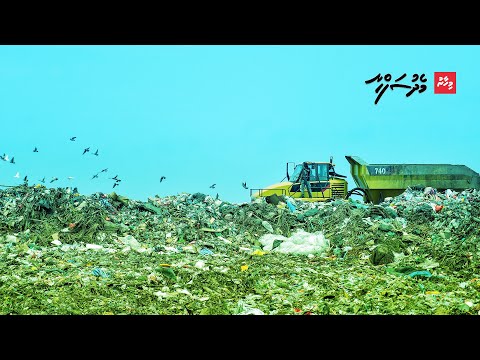 ނޫސްވެރިން ކުނި ފަރުބަދައިގެ މައްޗަށް