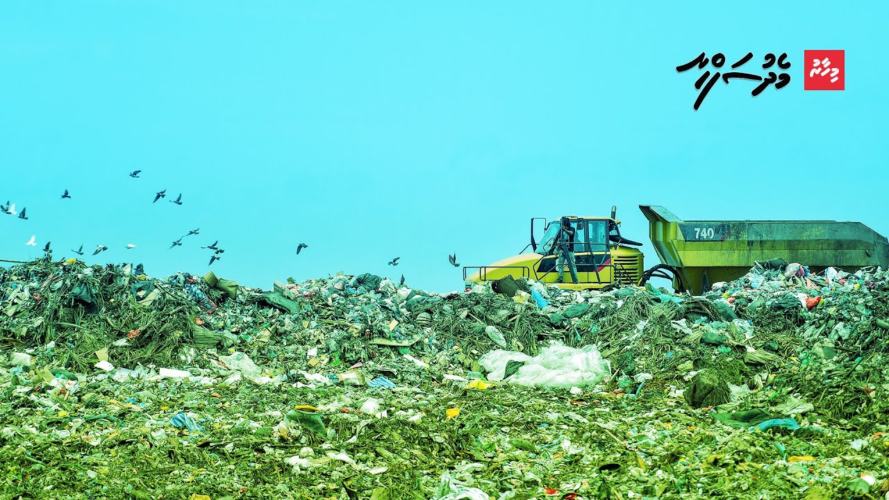 ނޫސްވެރިން ކުނި ފަރުބަދައިގެ މައްޗަށް