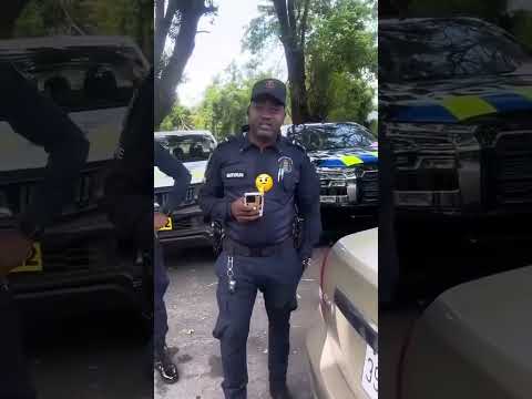 JAMAICANS BE LIKE😭🇯🇲