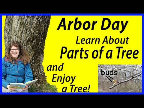 Arbor Day for kids! Learn parts of a tree & enjoy a tree today! (Kindergarten, ESL)