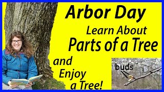 Arbor Day for kids! Learn parts of a tree &amp; enjoy a tree today! (Kindergarten, ESL)