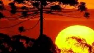 Los brios-silueta de cristal